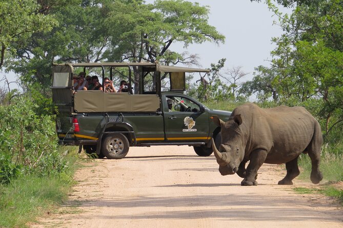 25 Best Safari Tours In Hazyview
