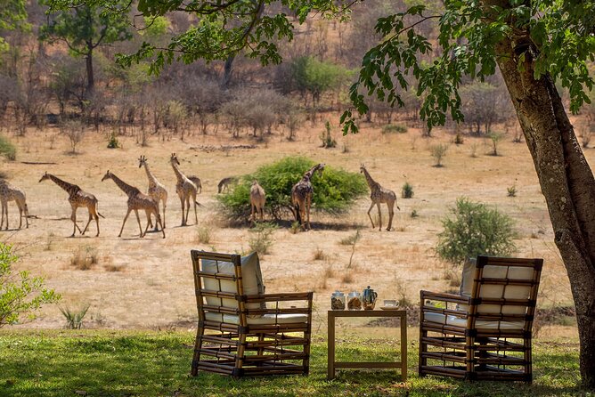 Kruger National Park Best Tour - Overview and Itinerary