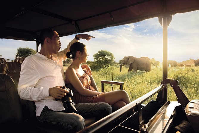 Kruger National Park Full Day Big 5 Safari Tour From Hazyview