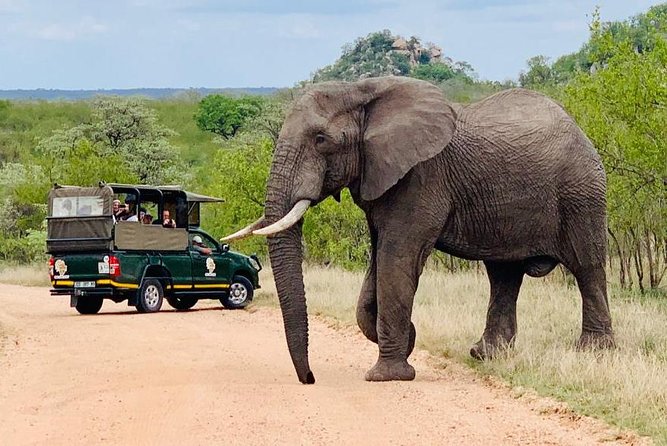 14 Best Full-Day Tours In Hazyview