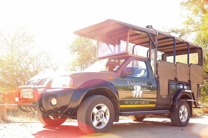Kruger National Park Full-Day Safari From Hazyview