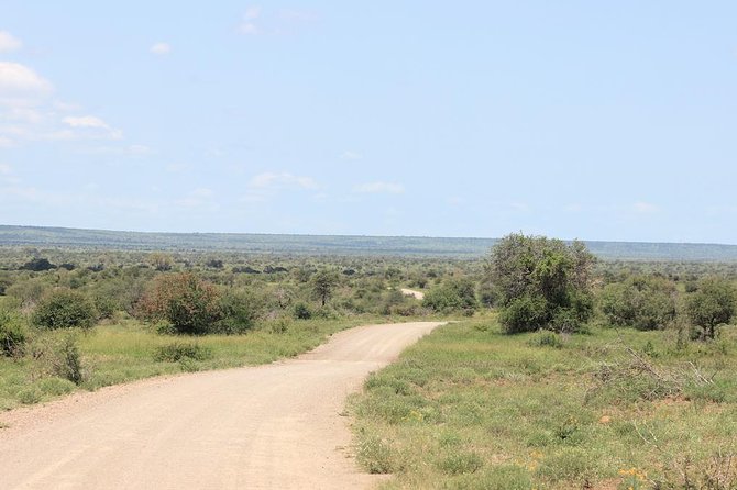 Kruger National Park Private Full-Day Safari - Private Safari Vehicle & Guide - Good To Know