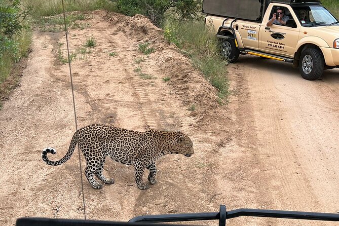 Kruger Park Safari Private Full-Day Tour From Malelane
