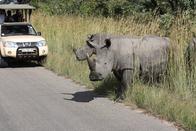 Kruger Park Safari Private Full-Day Tour From Marloth Park