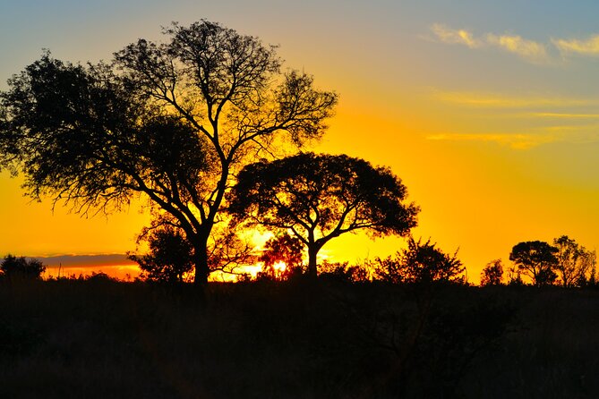Kruger Park Shared Full Day Safari Drive From Hazyview