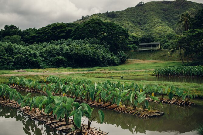 Kualoa Ranch: Malama Experience Tour - Good To Know