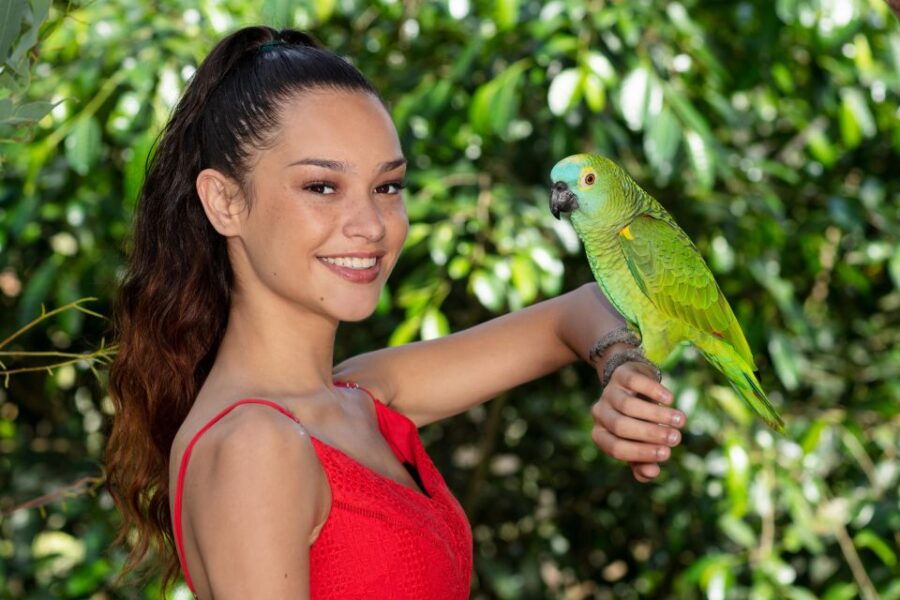 Kuranda: Birdworld Entry Ticket