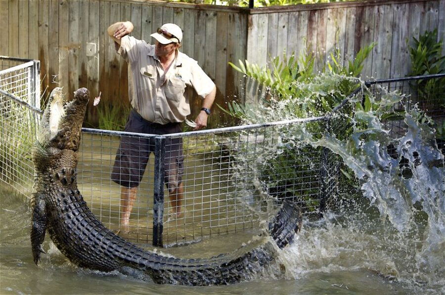 Kuranda & Hartley’s Crocodile Adventures