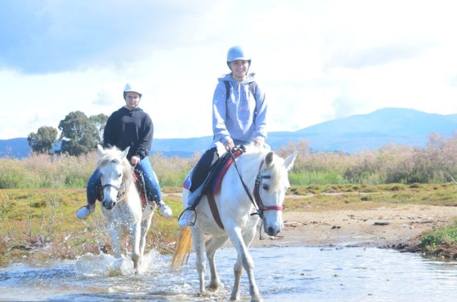 Kusadasi: Beach and Forest Horse Riding Tour - Good To Know