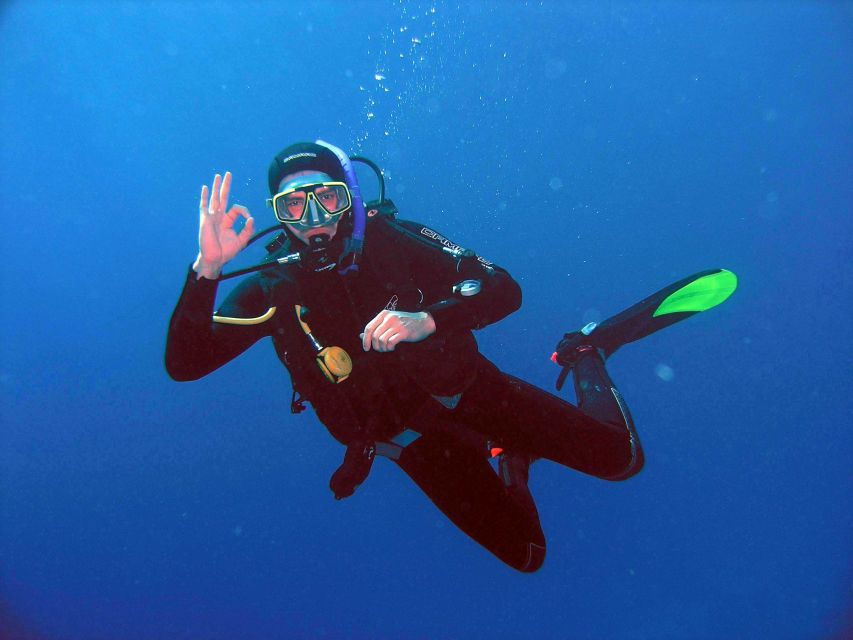 Kusadasi: Scuba Diving for Beginner or Experienced W/ Lunch