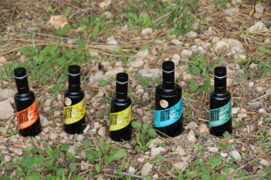 La Cañada: Walking Among Centenary Olive Trees - Good To Know