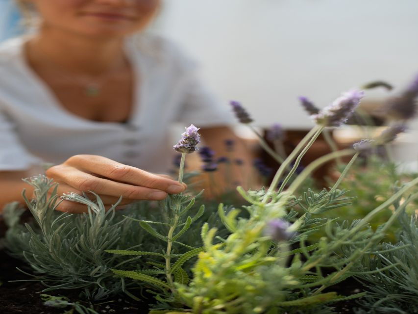 La Eva Treatments – Deep Release Massage