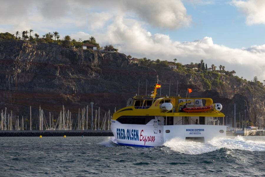 La Gomera: Billete De Ferry De Ida Y Vuelta Interno