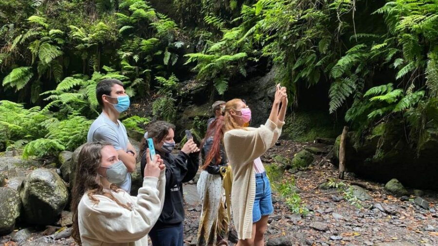La Gomera: Garajonay National Park Entry Ticket and Tour