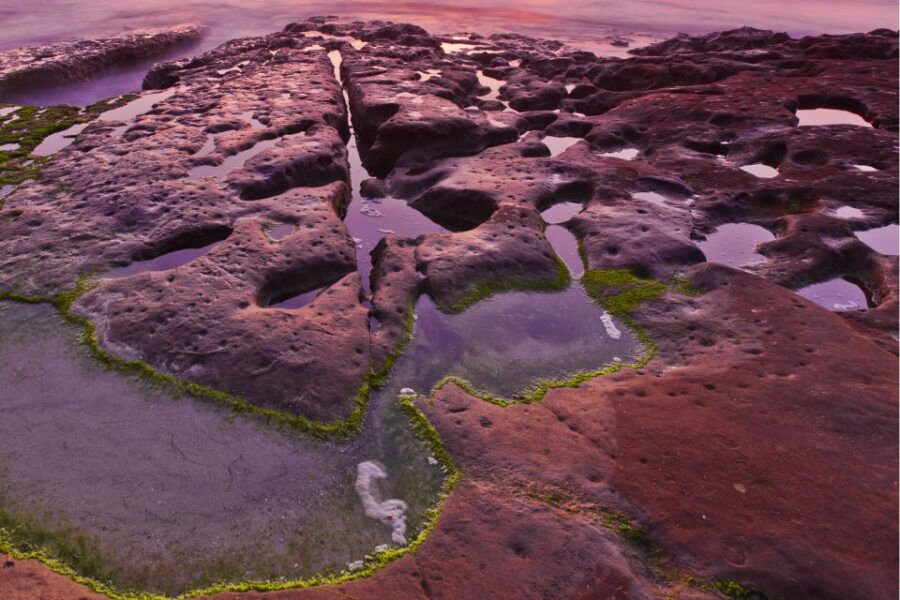 La Jolla: Self-Guided Walking Audio Tour - Good To Know