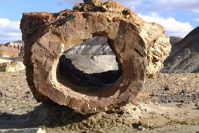 La Leona Petrified Forest Day Trip From El Calafate (Feb ) - Good To Know