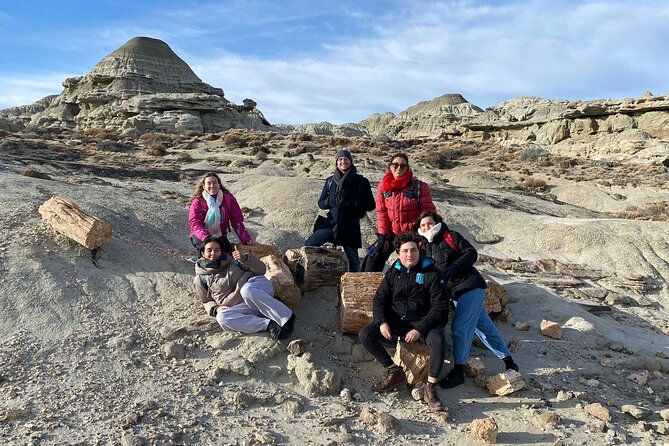 La Leona Petrified Forest Hiking Tour From El Calafate