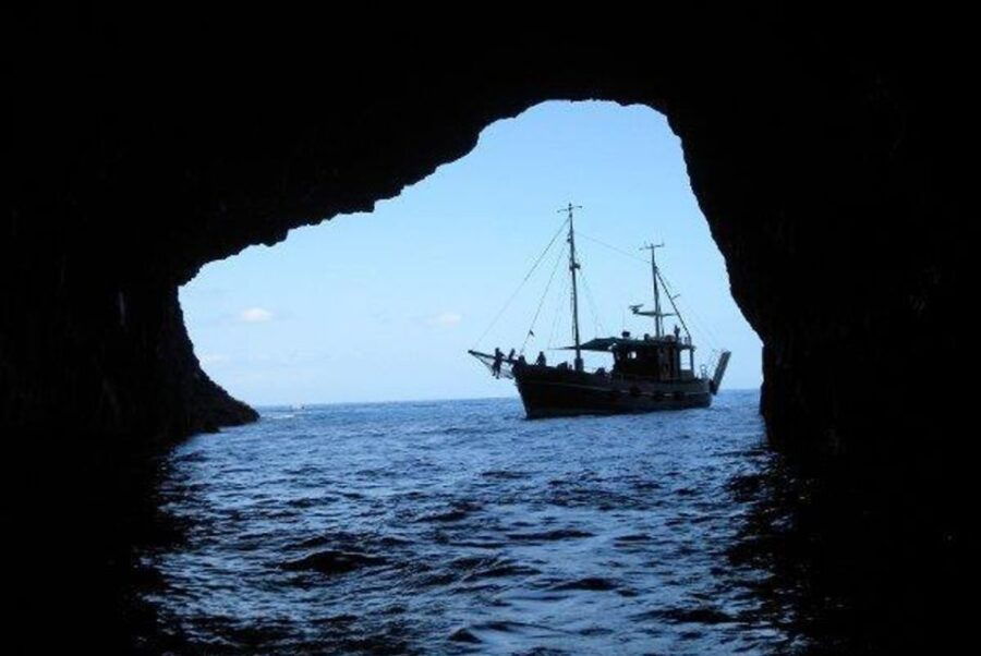 La Palma: 4-Hour Coastline Cruise With Tapas and Barbecue - Good To Know