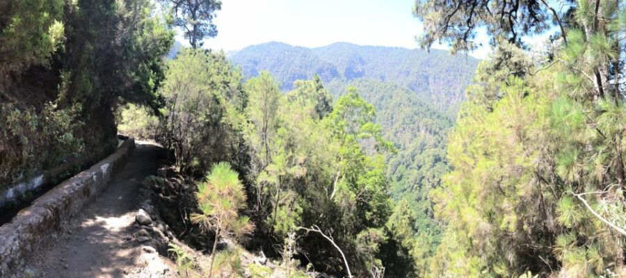La Palma: Return by Bus to the Marcos and Cordero Spring