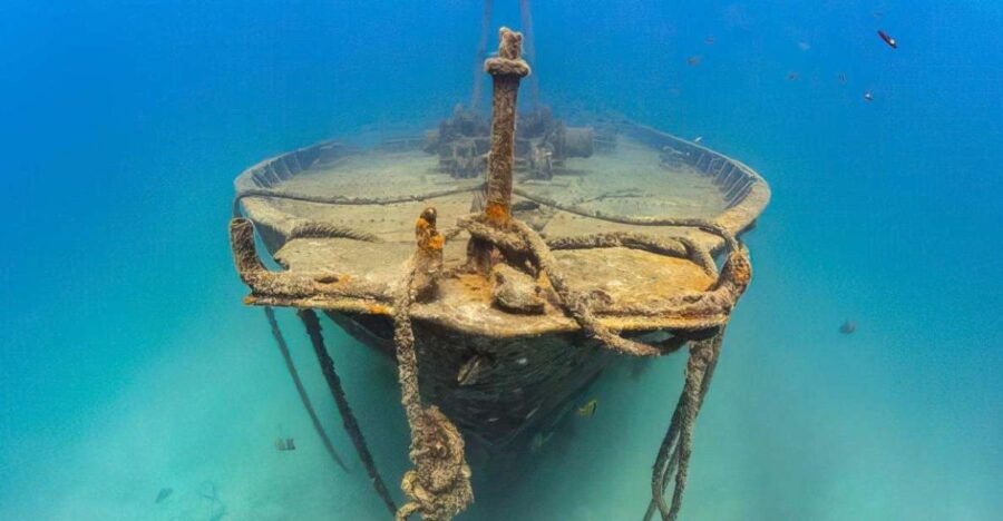 La Paz: Shipwreck Diving Experience - Good To Know