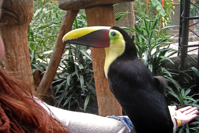 La Paz Waterfall Gardens & Wildlife Refuge Day Tour From San Jose - Good To Know