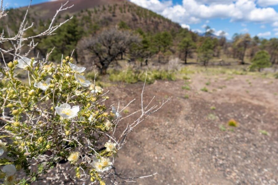 La Sal Mountain: Scenic Self-Guided Driving Audio Tour