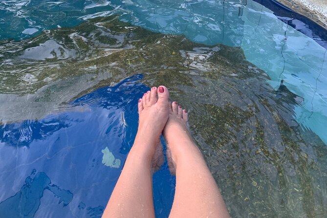 Laguna Hotspring and Tagaytay Tour From Manila
