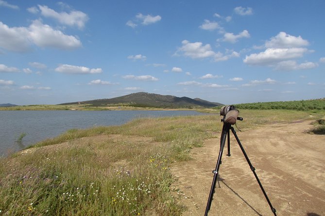 Laid-Back Birdwatching Week