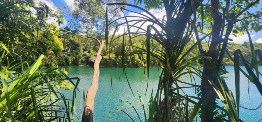 Lake Eacham: Return Transport