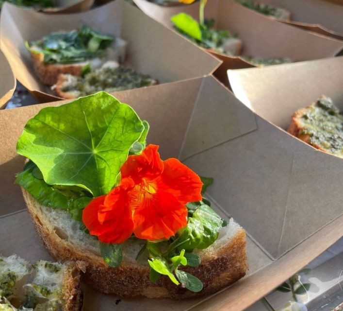 Lake Nemi: Herbs of the Moon Sensory Farm Visit - Good To Know