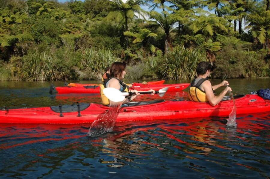 Lake Rotoiti & Hot Pools Guided Kayak - Good To Know