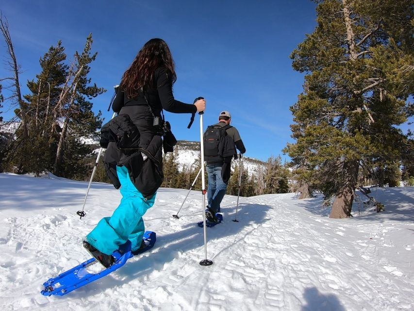 Lake Tahoe: Sunset Snowshoe Trek With Hot Drinks and Snacks - Good To Know