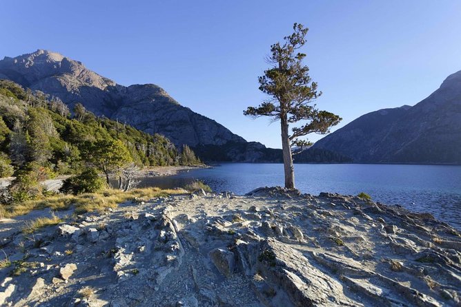 Lakes District 4x4 Full-Day Tour With Lunch From Ushuaia - Tour Highlights
