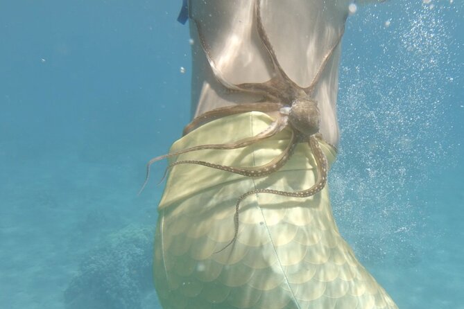 Lanai Snorkeling Half Day With Sea Scooter - Inclusions and Taxes