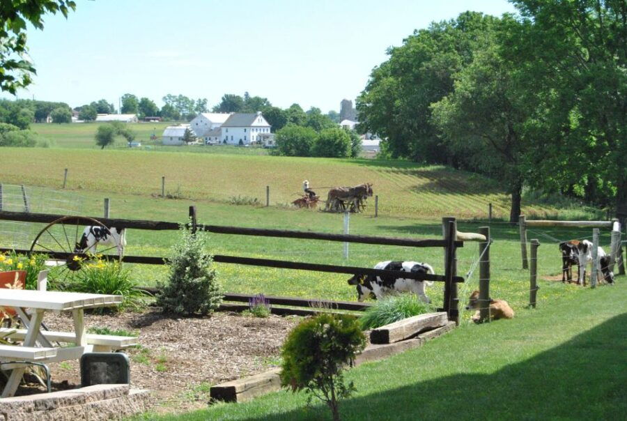 Lancaster: Amish Experience Visit-in-Person Tour of 3 Farms - Good To Know