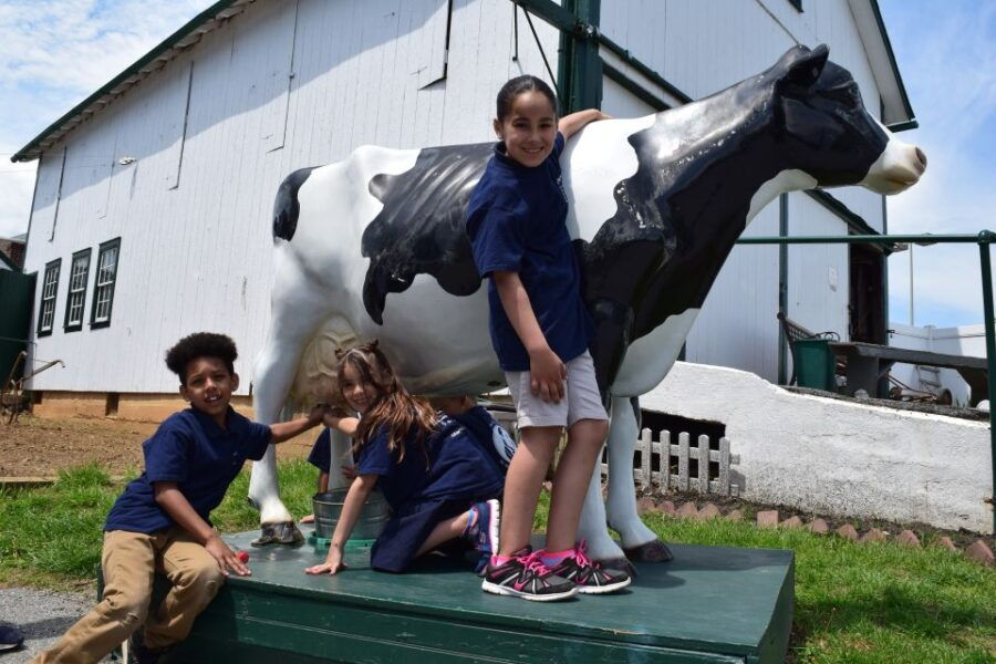 Lancaster County: Amish Farmlands, Museum Tour, Farm Visit - Tour Duration and Meeting Point