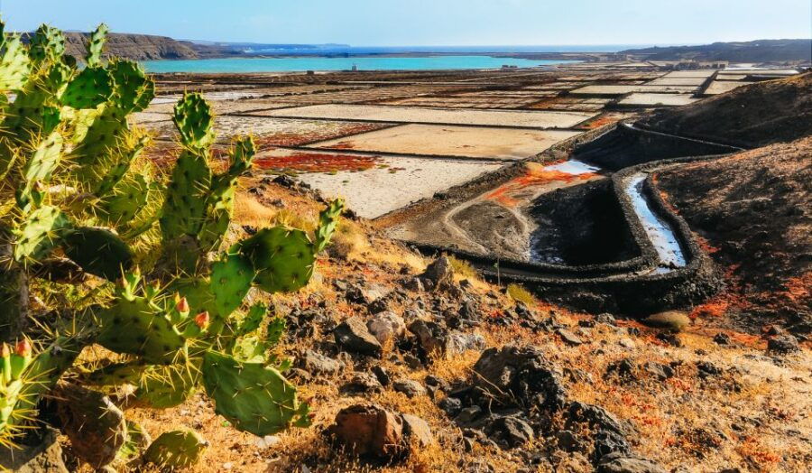 Lanzarote: Volcanos of Timanfaya and Caves Tour With Lunch - Good To Know