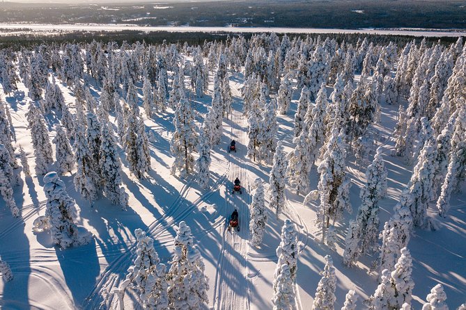 Lapland Family Snowmobile Safari From Rovaniemi - Good To Know