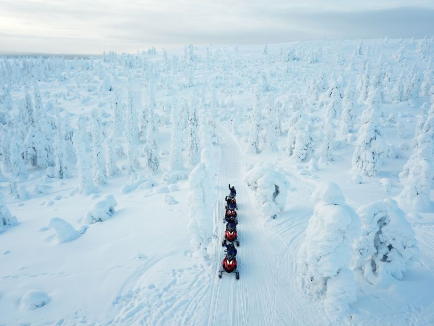 Lapland: Full-Day Snowmobile Safari Into the Wilderness - Good To Know