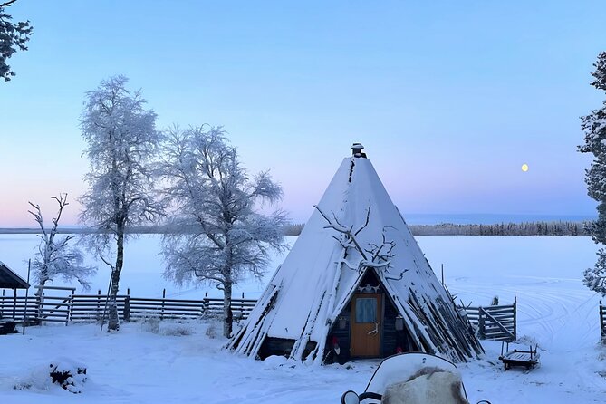Lapland Reindeer Safari From Levi