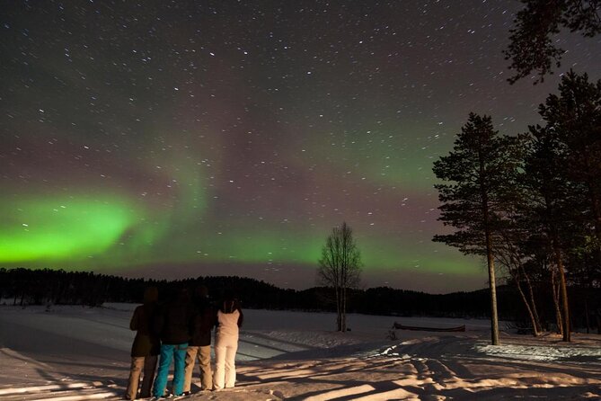 Lapland Reindeer Safari From Saariselkä - Traveler Photos and Reviews