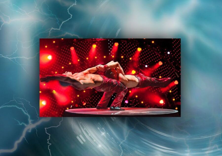 Las Vegas: V The Ultimate Variety Show Entry Ticket - Good To Know