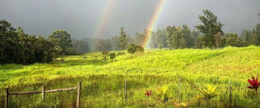 Laupahoehoe: Farm Animal Sanctuary Private Tour - Good To Know