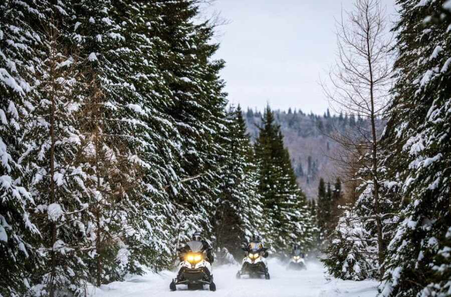 Laurentian Mountains: Guided Snowmobile Experience