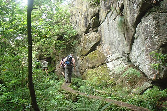 Laurissilva Forest Walk