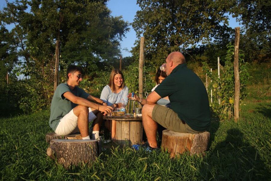 Lazise: Beekeeping Farm Tour and Tasting Experience