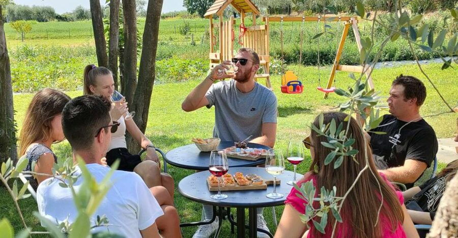 Lazise: Wine Tasting With Charcuterie and Cheese Board