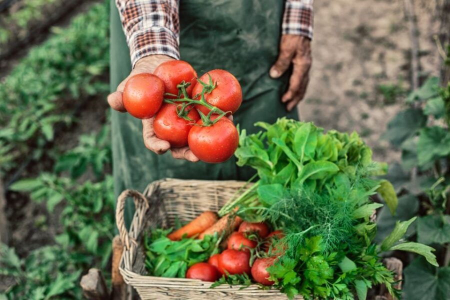 Learn to Cook Authentic Corfu Recipes With a Local Cook - Good To Know