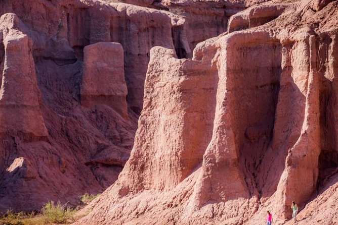 Lema Valley, Los Cardones National Park Tour With Lunch - Salta