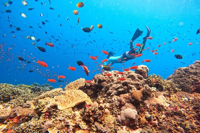 Lembongan Snorkeling and Island Tour - Good To Know